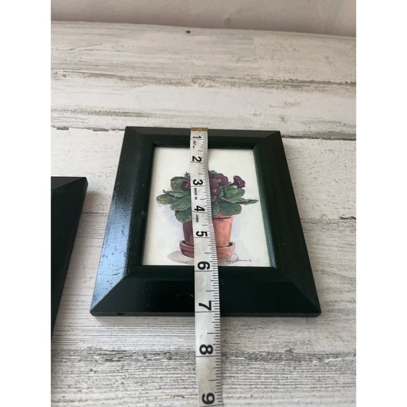 Set of two framed African violet pictures - Picture 5 of 6